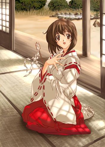 二次元,红白,巫女服,少女!