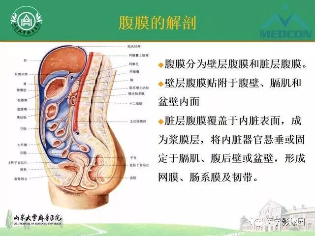六种弥漫性腹膜病变ct诊断与鉴别诊断影像天地