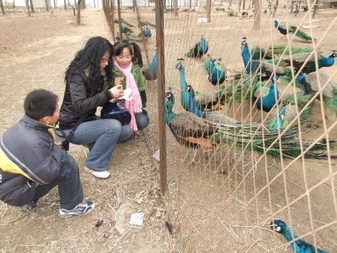 濮阳濮上园