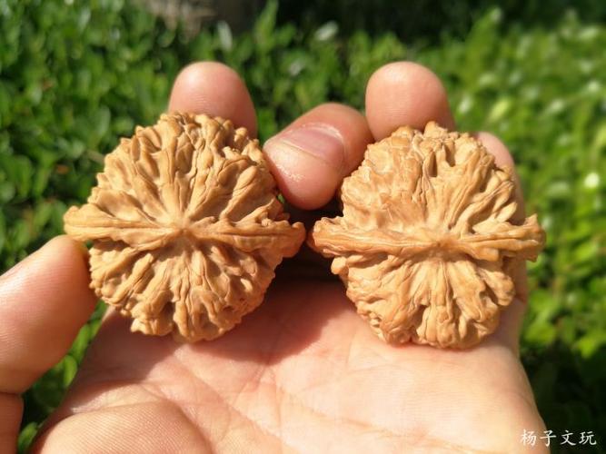 2精配矮桩闷尖苹果园狮子头三/棱白狮子头官帽四座楼优惠券