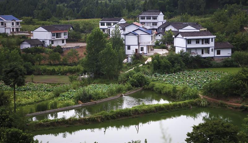 上一页 下一页 作品名称: 依山傍水幸福村  作品描述: 南部县新农村