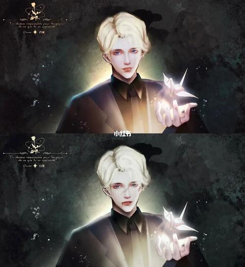 "斯莱特林的纸鹤只会飞向喜欢的人" #德拉科马尔福 #求小红书爸爸让我