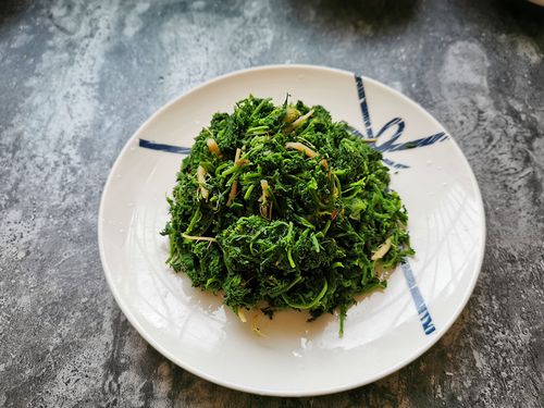 初春吃野菜,米米蒿别错过,加些蒜泥拌一拌,清香又好吃