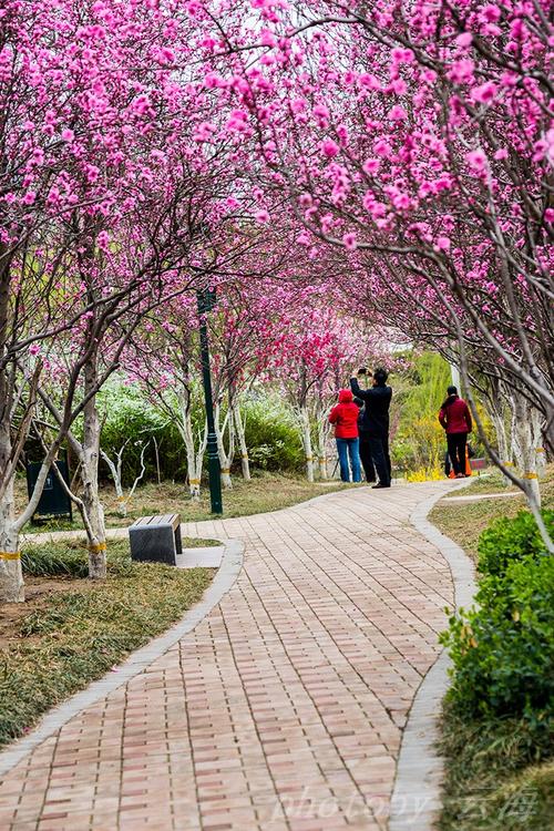 潍坊植物园,春天景色
