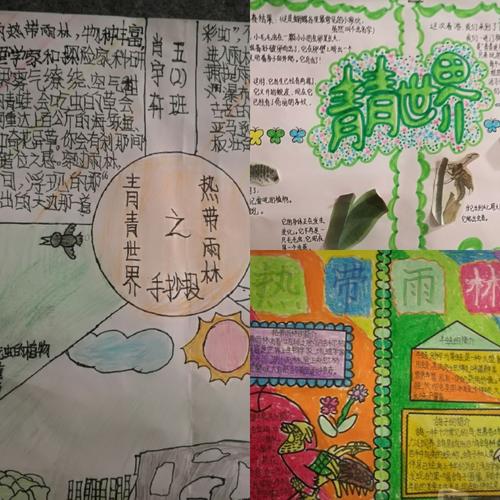 糅合了青青世界中的见闻,变成了一张张精美的手抄报