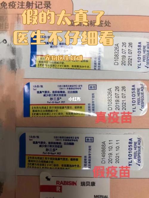 猫咪疫苗真假妙三多疫苗真假篇