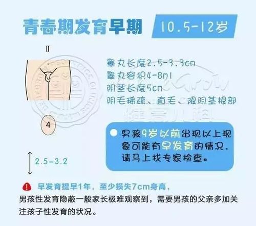 男孩发育的标志