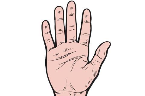 特征三:手心红润有肉掌中红润有肉,在相学中象征着"掌中握日月",一生