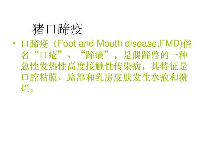 猪口蹄疫ppt图片