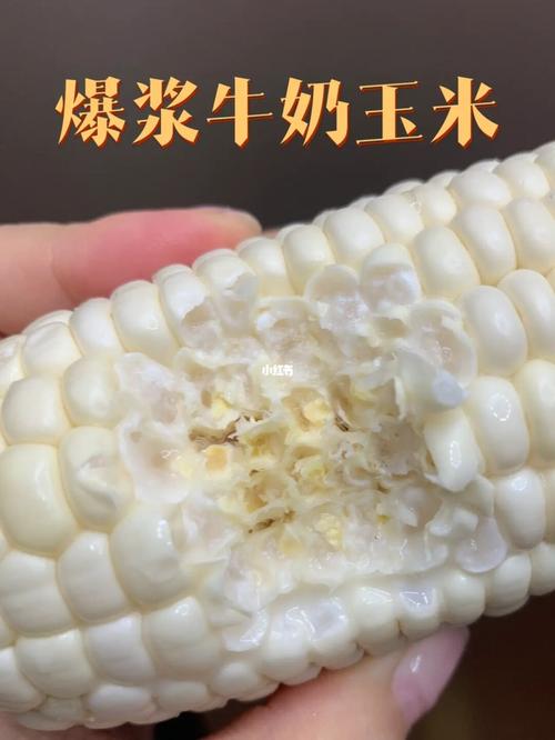 盒马改行得了,生食爆浆牛奶玉米也太好吃了_玉米_盒马