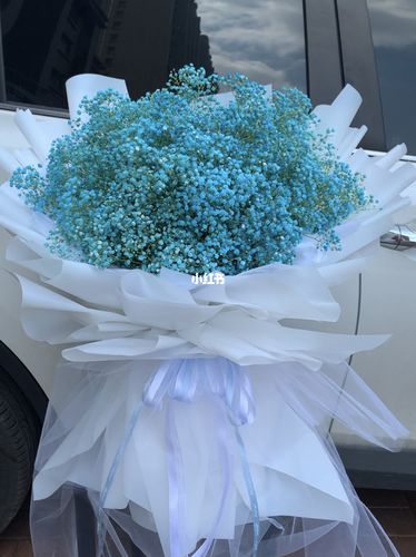 盘锦花店!蓝色满天星!