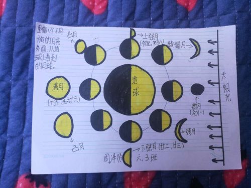 实践习练课——绘制月相变化