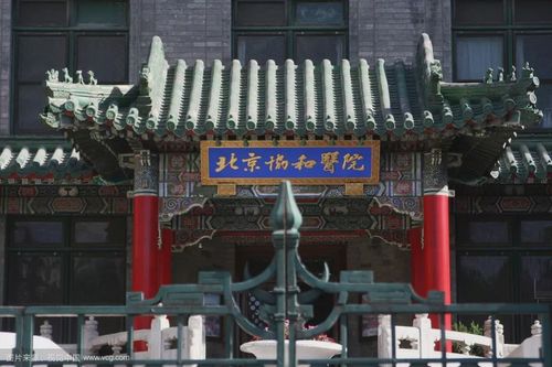 北京协和医院