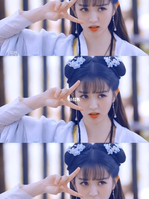 田曦薇《我的宠物少将军》