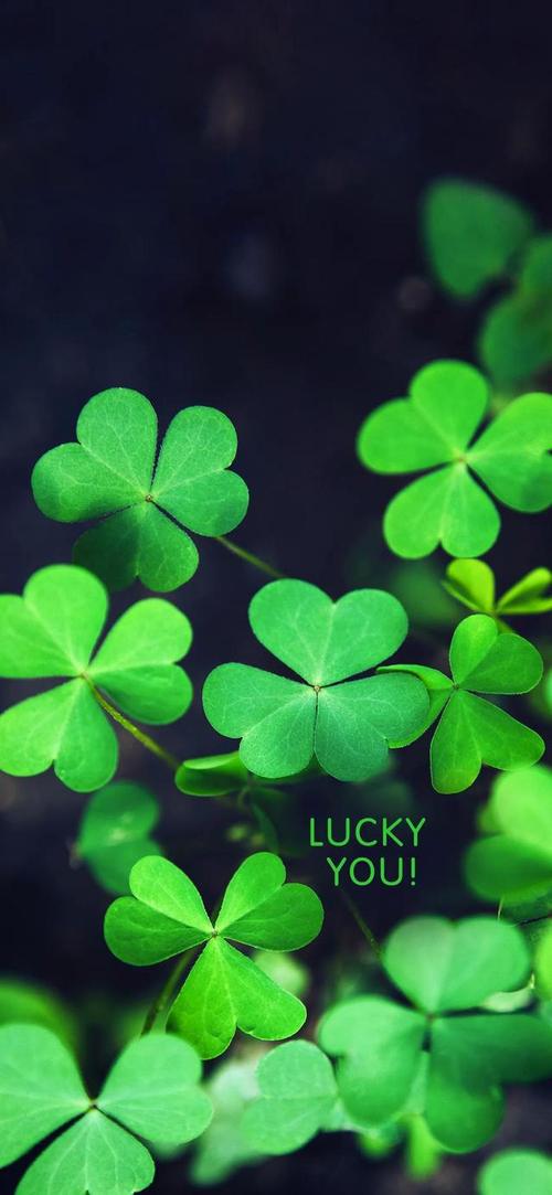 1387原图三叶草大吉大利合集手机壁纸