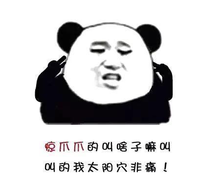常常让人摸不着头脑的四川方言速成指南来啦