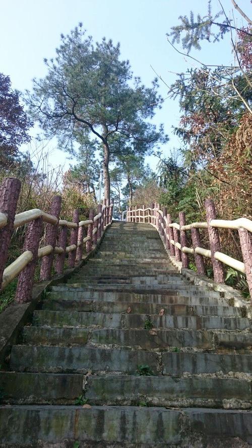 出游                                              入住南岳山庄