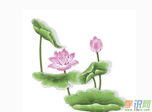 简单荷花绘画图片大全