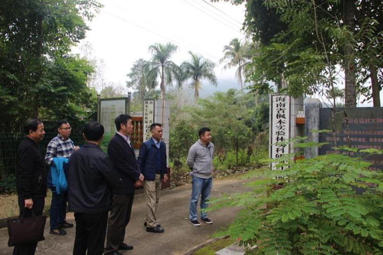 海南省林业局副局长高述超到省枫木实验林场调研
