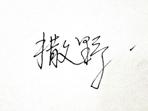 巫哲」「残次品priest」「杀破狼priest」