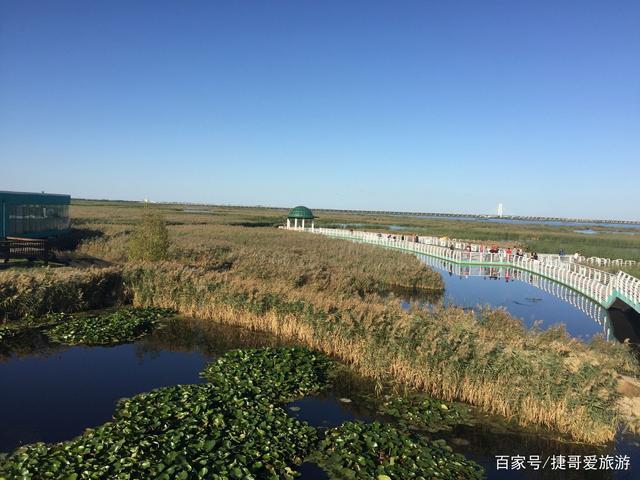游览 黑龙江省 大庆市 龙凤湿地