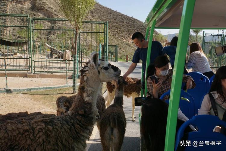 美丽的兰州野生动物园