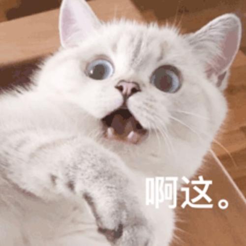 求求一个像05表示惊讶震惊的表情包已找到