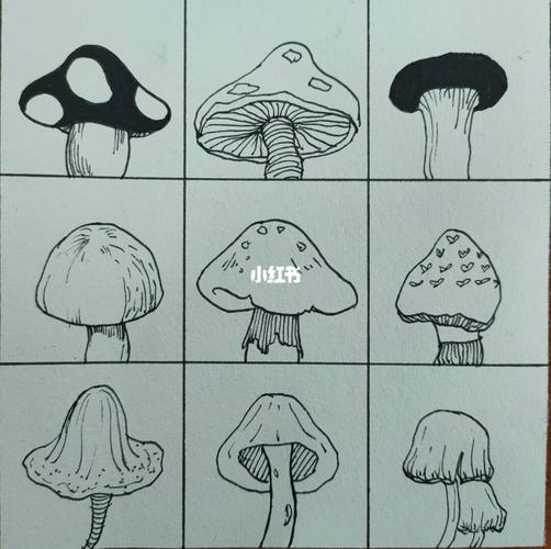 近似构成