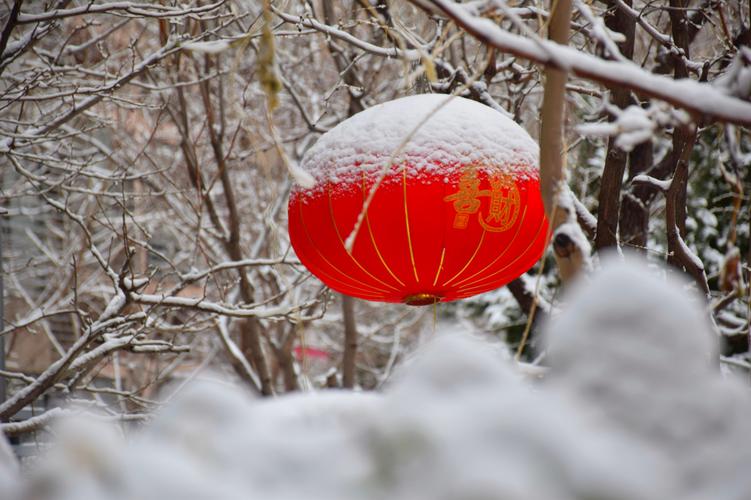 雪染红灯笼