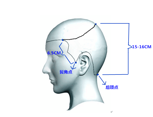在鬓角点的位置往上6.5cm,找到一个点.如图,两个点连接.