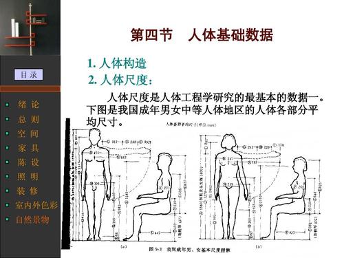 人体工程学课件ppt