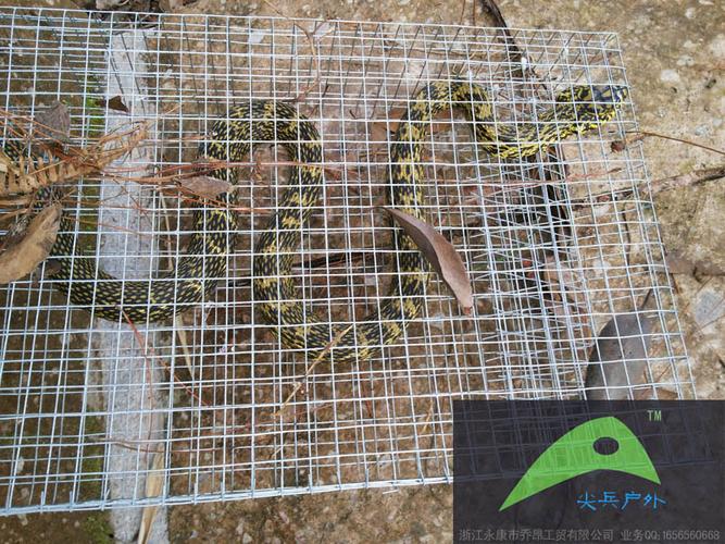 批发捕蛇笼养蛇笼诱蛇笼具抓蛇笼网专业捕蛇器活蛇捕抓工具