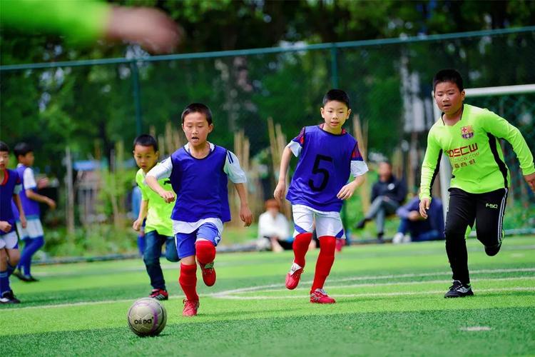 北京市昌平区振华学校