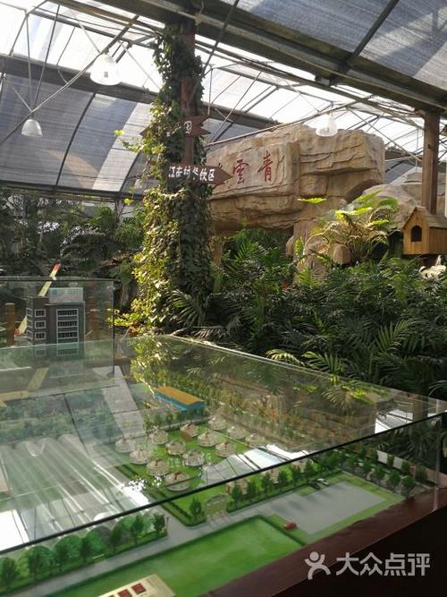 云境生态园酒店图片 - 第2张