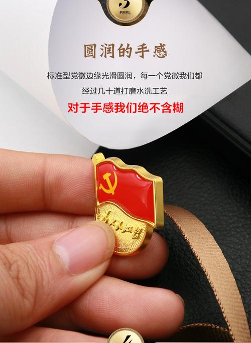 党徽标准型磁铁式别针磁针新版党员胸章徽章