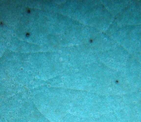 北宋汝窑内里气泡图