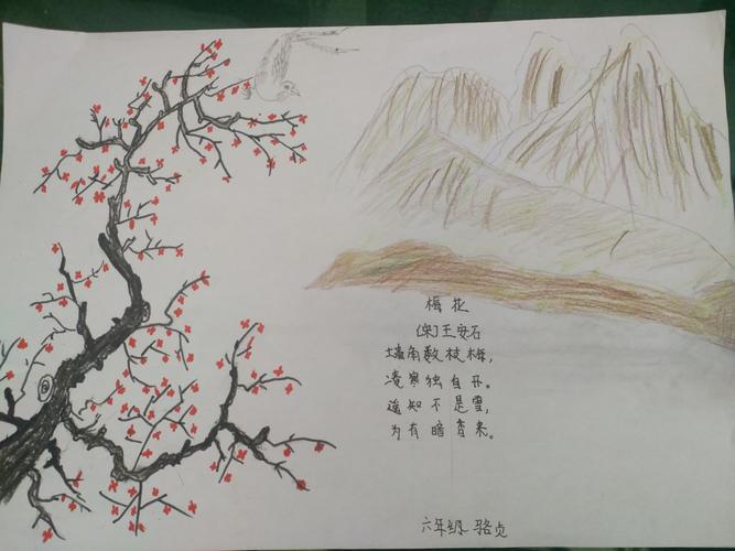 高年级组  一等奖     六年级  罗贞