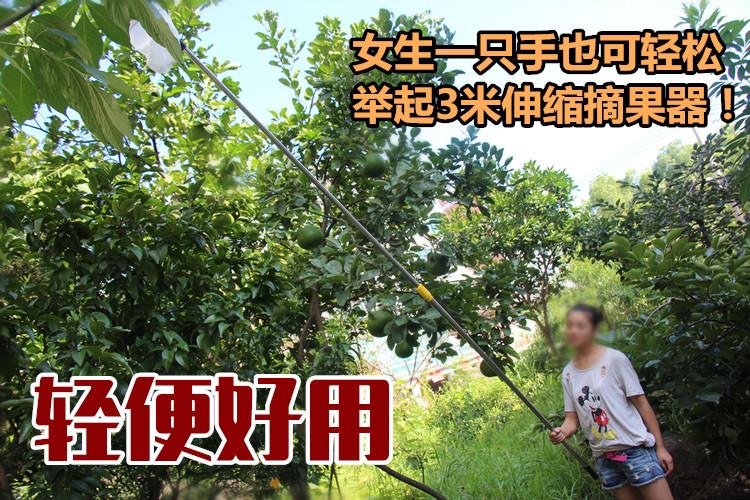 伸缩高空采摘高枝剪修枝剪刀果树荔枝柿子杨梅摘水果工具神器 2米