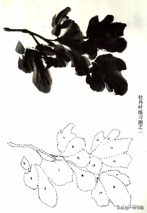 牡丹叶子的画法示范教程