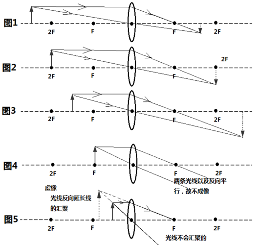 初一物理资料 - 凹透镜凸透镜成像以及原理图