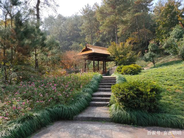 浙江安吉凤凰山森林公园