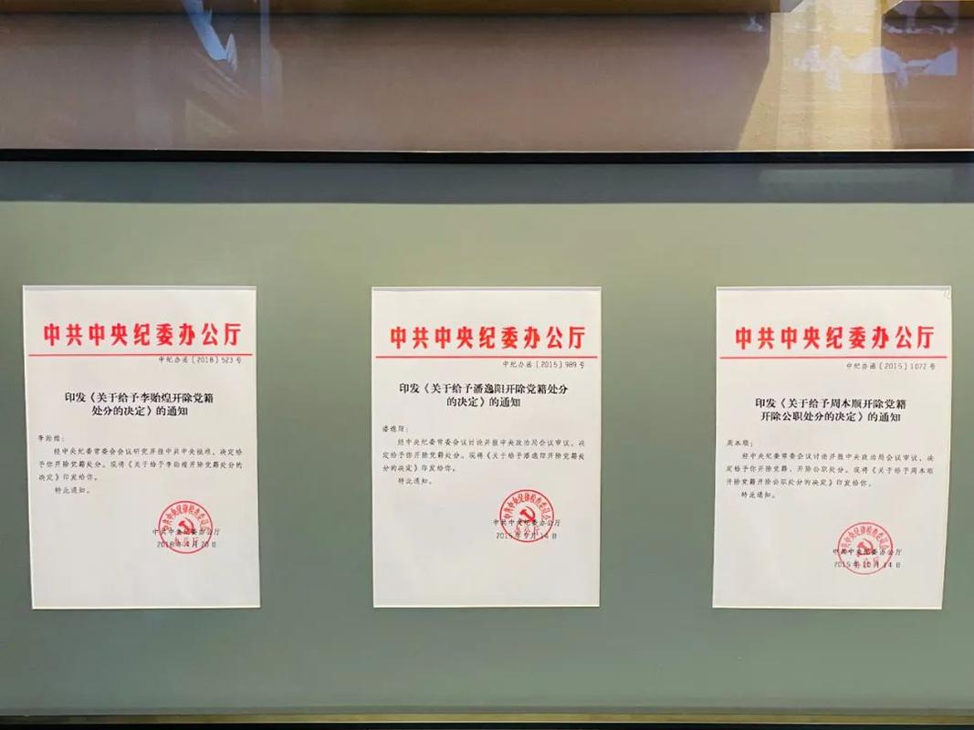 全国政协原副主席苏荣中宣部原副部长鲁炜等大老虎忏悔书公开