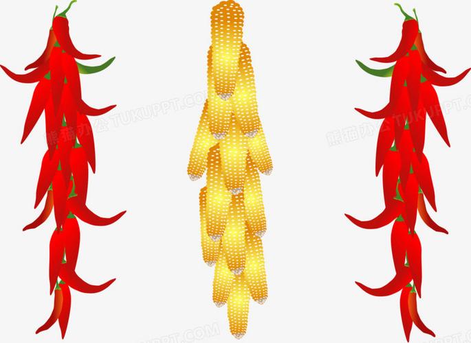 辣椒串玉米串矢量图