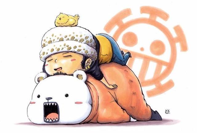 海贼王:特拉法尔加·罗,草帽海贼团第11人?