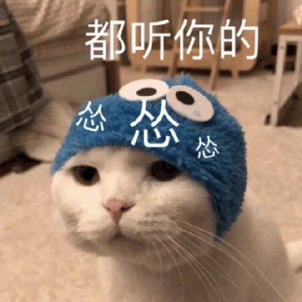 表情包:一首分手快乐送给你们