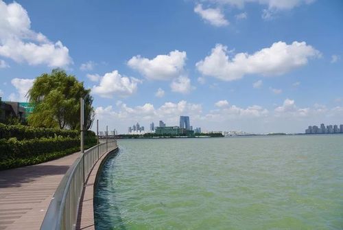 金鸡湖环湖步道 /金水湾水上栈道/ 早在今年5月份,金