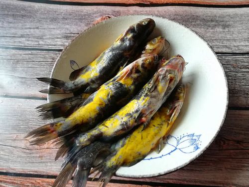 东北以前常见的淡水小野生鱼,你吃过几种?全吃过的人不多