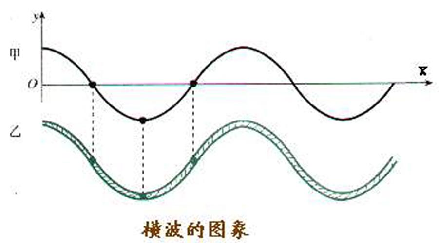 横波的横波的图象
