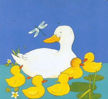 母鸭和小鸭小鸭子妈妈简笔画图片