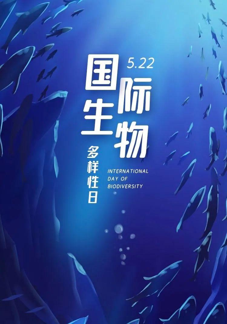 国际生物多样性日嗨用屁股比心的那位你在青海湖还好吗